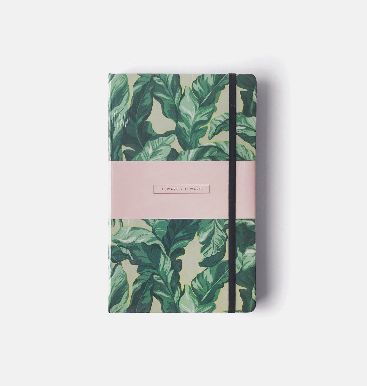 Palm Leaf Journal